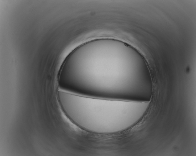 X0000093511527200710121053