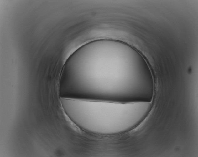 X0000093511529200710121053