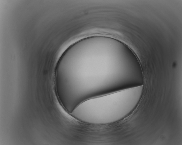 X0000093511531200710121053
