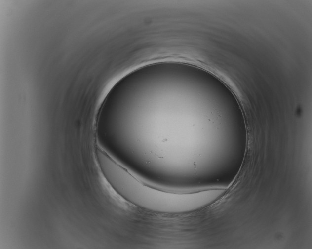 X0000093511532200710121053