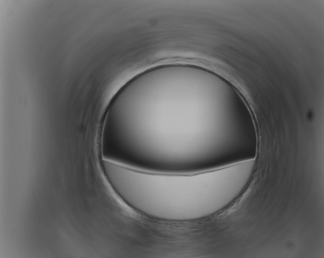X0000093511533200710121053