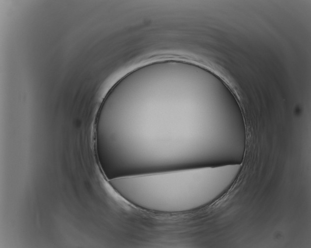 X0000093511535200710121053