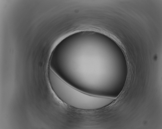 X0000093511536200710121053