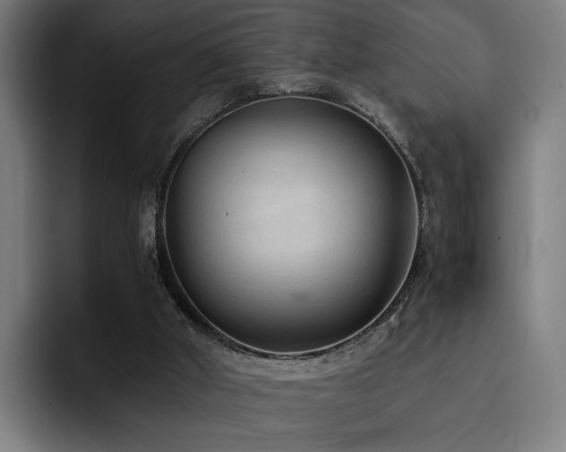 X0000093510010200710121540