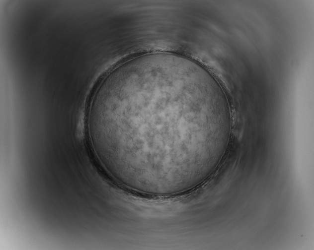 X0000093510012200710121540
