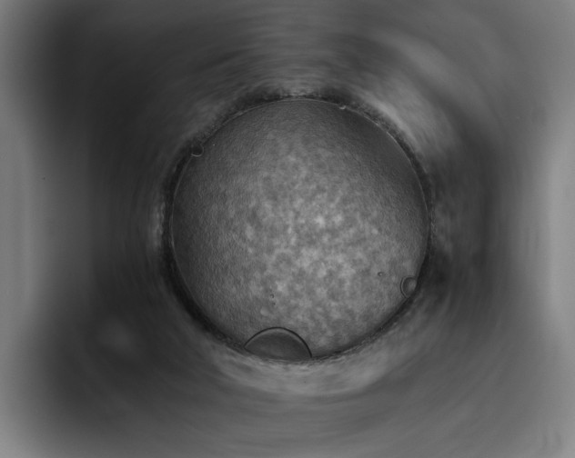 X0000093510018200710121539