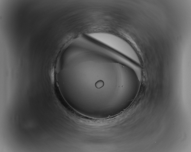 X0000093510019200710121539