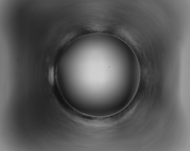 X0000093510020200710121539