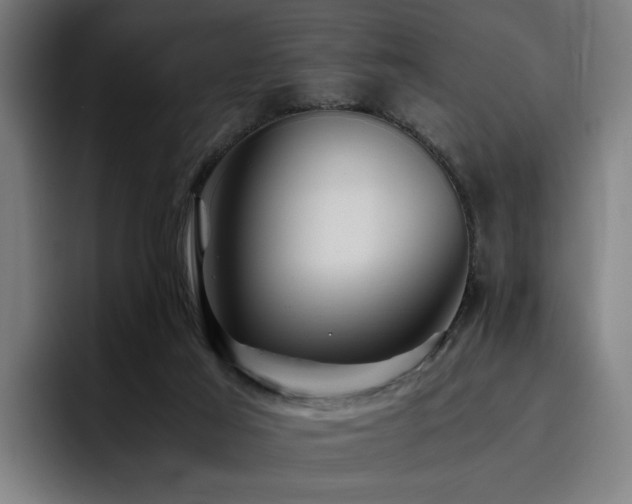 X0000093510021200710121539
