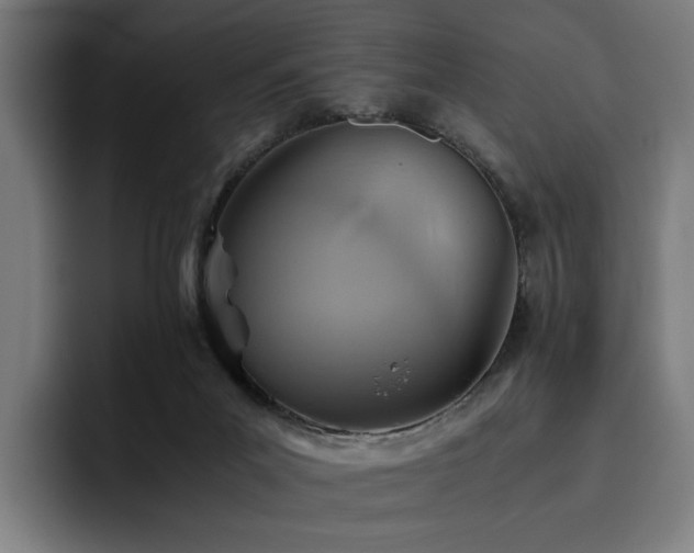 X0000093510023200710121539