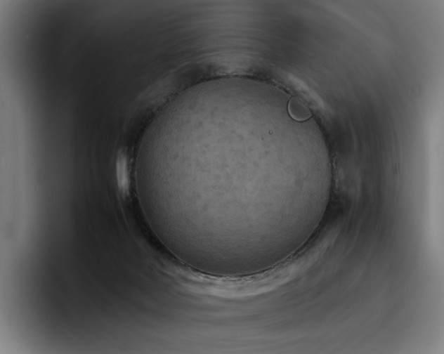 X0000093510026200710121539