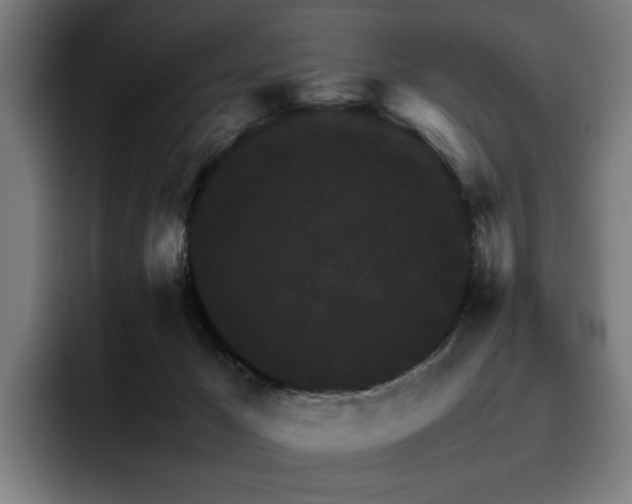 X0000093510029200710121539