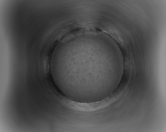 X0000093510030200710121539