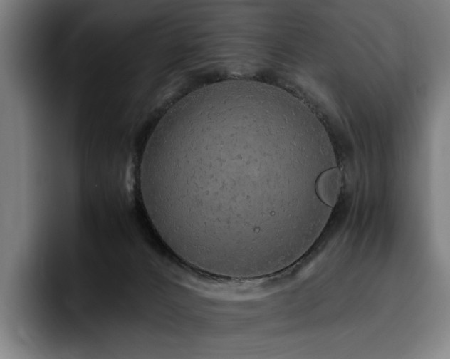 X0000093510032200710121539