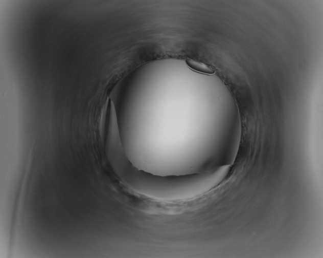 X0000093510033200710121539