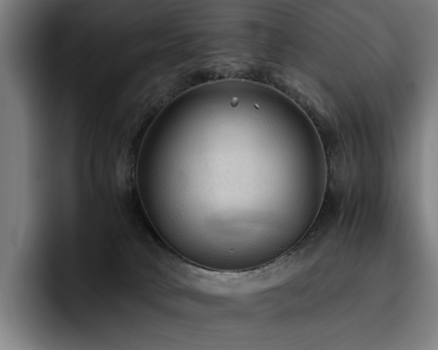 X0000093510034200710121539