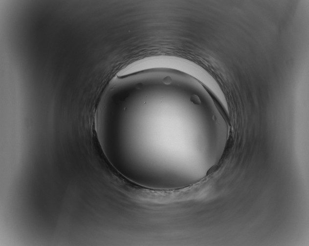 X0000093510037200710121539