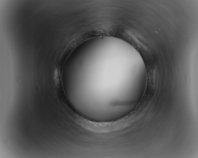 X0000093510038200710121539