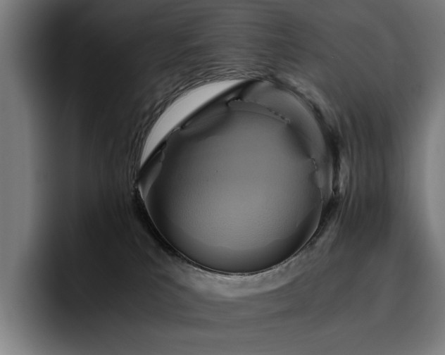 X0000093510039200710121539