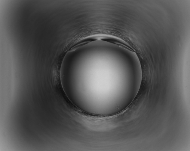 X0000093510040200710121539