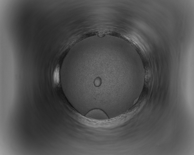 X0000093510046200710121539