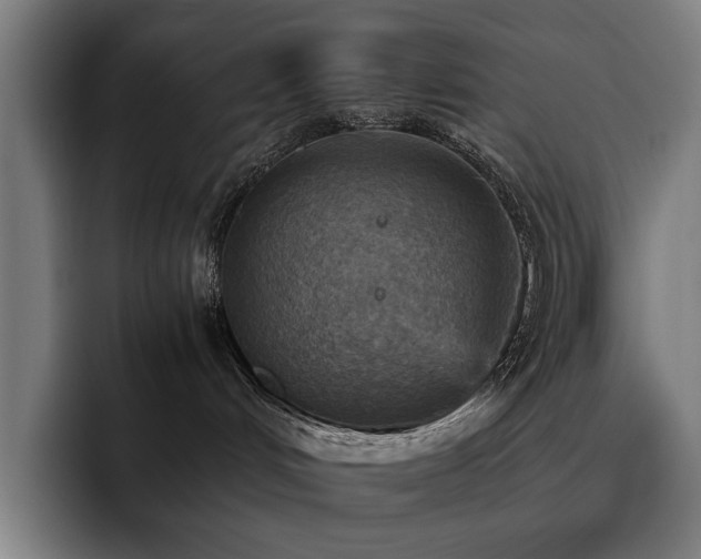 X0000093510048200710121539