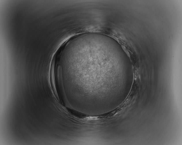 X0000093510052200710121539