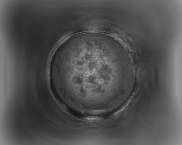 X0000093510055200710121539