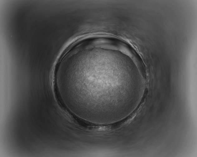 X0000093510056200710121539