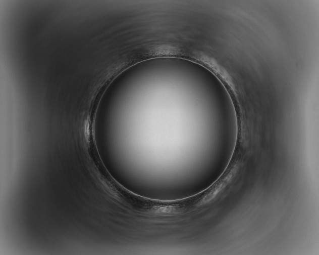 X0000093510057200710121539