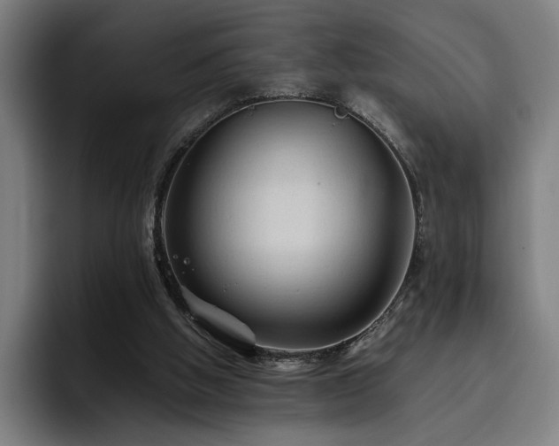X0000093510058200710121539