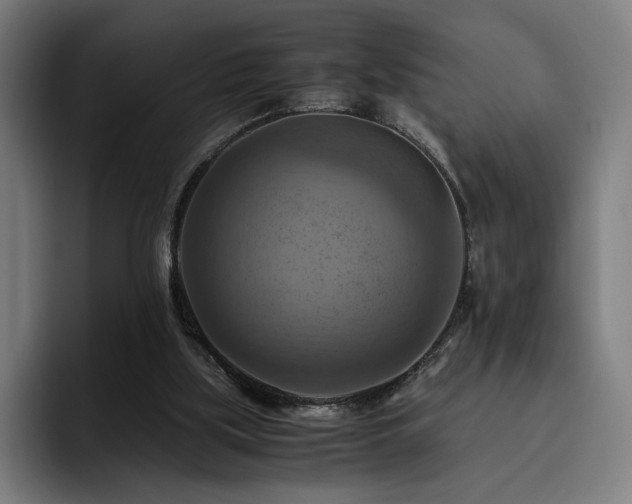 X0000093510059200710121539