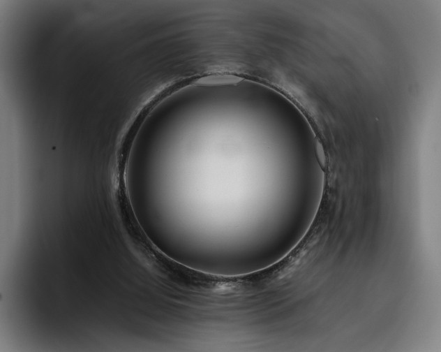 X0000093510060200710121539