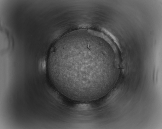 X0000093510067200710121539