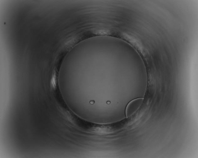 X0000093510069200710121539