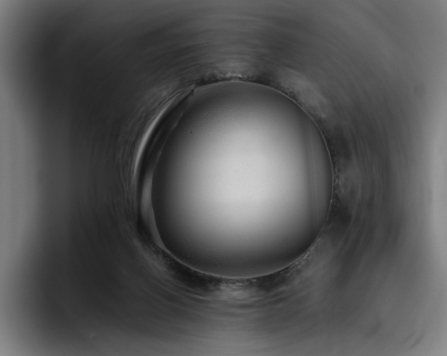 X0000093510070200710121539