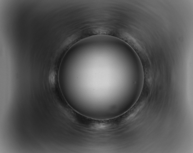 X0000093510071200710121539
