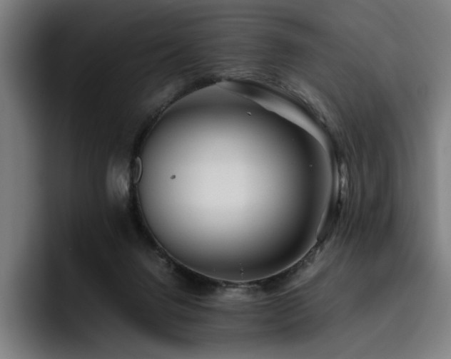 X0000093510072200710121539