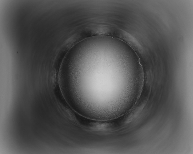 X0000093510073200710121539