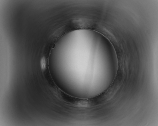 X0000093510075200710121539