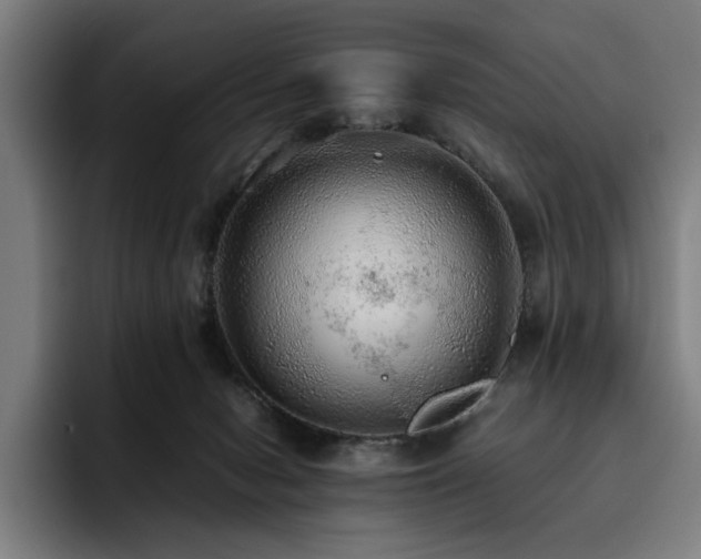 X0000093510078200710121539