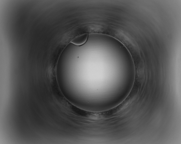 X0000093510079200710121539