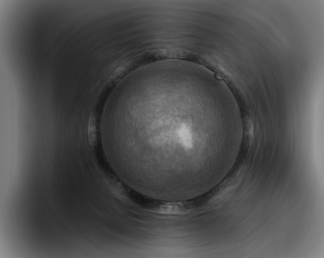 X0000093510080200710121539