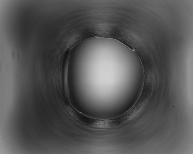 X0000093510084200710121539