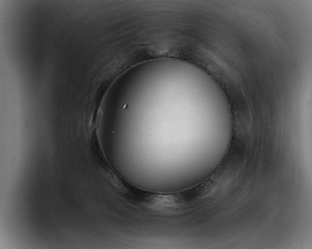X0000093510085200710121539