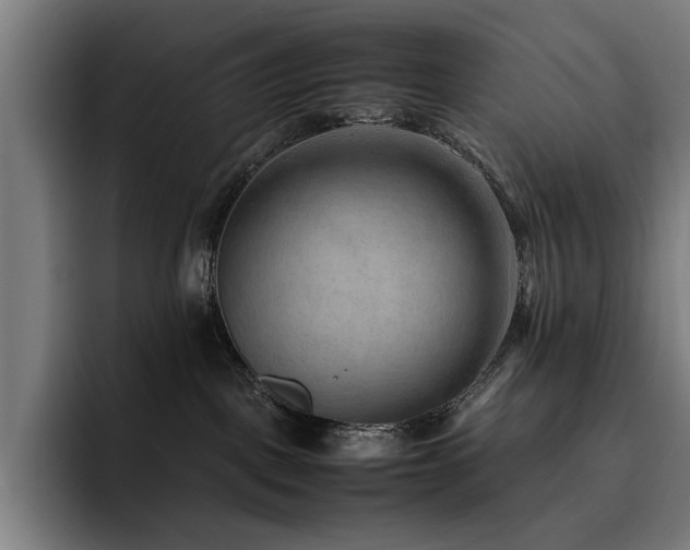 X0000093510093200710121539