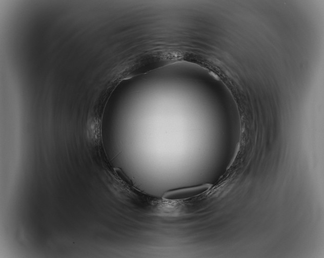 X0000093510096200710121539
