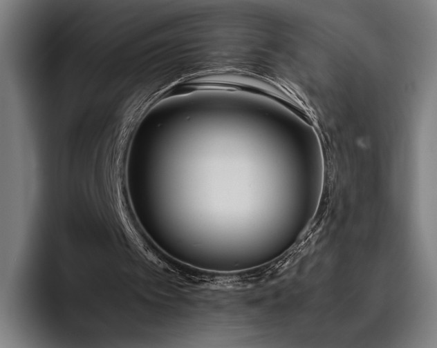 X0000093510097200710121539