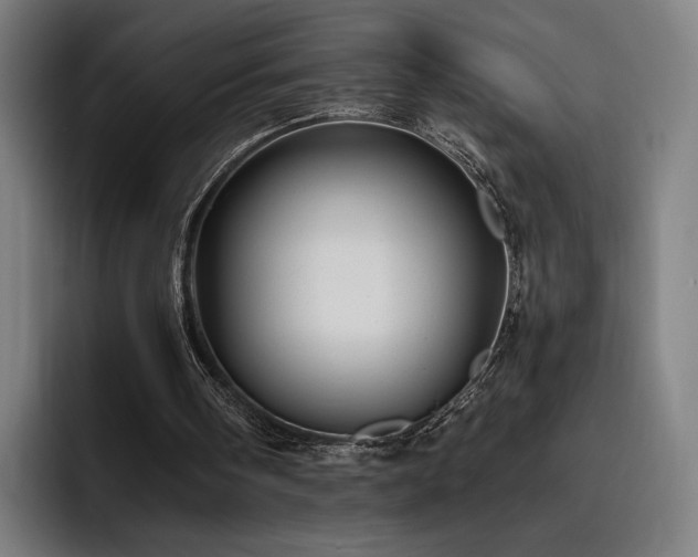 X0000093510098200710121539
