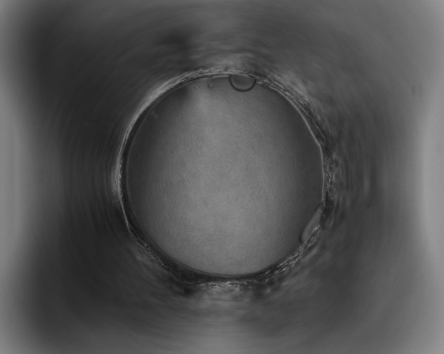 X0000093510100200710121539